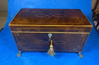Regency Mahogany Twin Lidded Tea Caddy (8 of 17) Regency Mahogany Twin Lidded Tea Caddy (8 of 17)