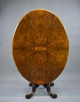 Victorian Burr Walnut Oval Loo Table (2 of 9) Victorian Burr Walnut Oval Loo Table (2 of 9)