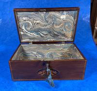 George III Solid Mahogany Box With Wonderful Inlaid Panels (3 of 18) George III Solid Mahogany Box With Wonderful Inlaid Panels (3 of 18)