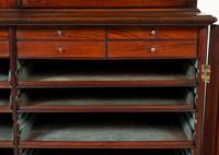 Georgian Mahogany Library Bookcase (6 of 9) Georgian Mahogany Library Bookcase (6 of 9)
