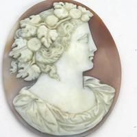 Fine & Large Unmounted Carved Shell Classical Portrait Cameo 19th Century (2 of 4) Fine & Large Unmounted Carved Shell Classical Portrait Cameo 19th Century (2 of 4)