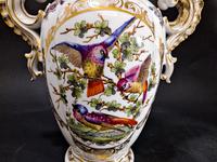 Pair of Hand Painted Porcelain Vases (4 of 6) Pair of Hand Painted Porcelain Vases (4 of 6)