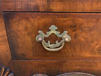Burr Walnut Dome Topped Bookcase (9 of 18) Burr Walnut Dome Topped Bookcase (9 of 18)