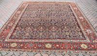 Antique Ferahan square room size carpet 308x274cm (2 of 8) Antique Ferahan square room size carpet 308x274cm (2 of 8)