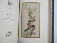 The Pictorial Arts of Japan, William Anderson, 1886, Seminal Work, Illustrated (8 of 21) The Pictorial Arts of Japan, William Anderson, 1886, Seminal Work, Illustrated (8 of 21)