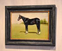 Horse oil painting 'Victor' by L Mallender (6 of 8) Horse oil painting 'Victor' by L Mallender (6 of 8)