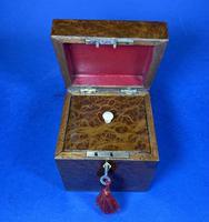 Late Victorian Burr Yew Single Tea Caddy (18 of 32) Late Victorian Burr Yew Single Tea Caddy (18 of 32)