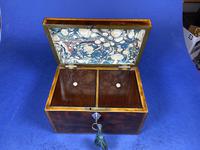18th Century Mahogany Twin Tea Caddy with Shell Inlay (6 of 17) 18th Century Mahogany Twin Tea Caddy with Shell Inlay (6 of 17)