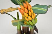 Vintage South Amercian Carved Wood Banana Tree Sculpture (8 of 10) Vintage South Amercian Carved Wood Banana Tree Sculpture (8 of 10)
