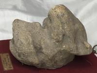 20th Century postern grotesque dog architectural stone sculpture wall plaque (4 of 7) 20th Century postern grotesque dog architectural stone sculpture wall plaque (4 of 7)