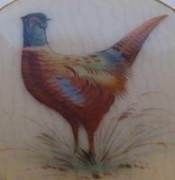 Rare 1913 Ceramic China Silver Brooch Jewellery Lapel Pin Pheasant Hand Painted (9 of 9) Rare 1913 Ceramic China Silver Brooch Jewellery Lapel Pin Pheasant Hand Painted (9 of 9)
