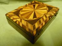 Specimen Wood Trinket Box. C1880 (10 of 12) Specimen Wood Trinket Box. C1880 (10 of 12)