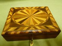 Specimen Wood Trinket Box. C1880 (3 of 12) Specimen Wood Trinket Box. C1880 (3 of 12)