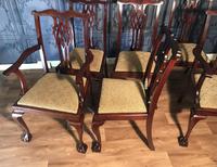Set of six Edwardian Mahogany Dining Chairs (10 of 11) Set of six Edwardian Mahogany Dining Chairs (10 of 11)