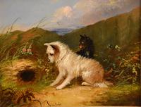Oil Painting by J Langlois "Rabbiting" (2 of 5) Oil Painting by J Langlois "Rabbiting" (2 of 5)