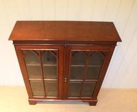 Mahogany Gothic Glazed Bookcase (10 of 11) Mahogany Gothic Glazed Bookcase (10 of 11)