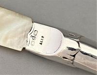 Item Additional Image