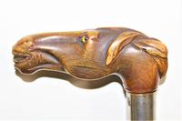 Finely Carved Horn Walking Stick of a Horses Head (4 of 7) Finely Carved Horn Walking Stick of a Horses Head (4 of 7)