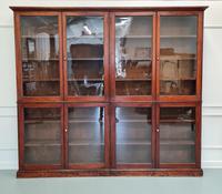 Large Antique Museum Cabinet c.1900 (2 of 7) Large Antique Museum Cabinet c.1900 (2 of 7)