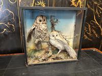 Item Additional Image