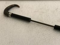 Gentleman’s walking stick sword stick with horn handle (37 of 41) Gentleman’s walking stick sword stick with horn handle (37 of 41)