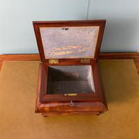 Unusual Victorian Mahogany Antique Tea Caddy (5 of 7) Unusual Victorian Mahogany Antique Tea Caddy (5 of 7)