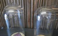 Anique Pair of Glass Domes (6 of 6) Anique Pair of Glass Domes (6 of 6)