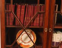 Georgian Glassed Bookcase in Mahogany & Inlays - 18th Century English (8 of 14) Georgian Glassed Bookcase in Mahogany & Inlays - 18th Century English (8 of 14)