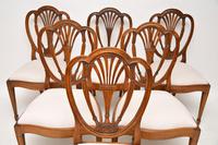 Set of 6 Antique Mahogany Sheraton Style Dining Chairs (8 of 9) Set of 6 Antique Mahogany Sheraton Style Dining Chairs (8 of 9)