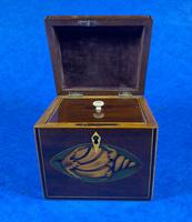 Georgian Mahogany Shell Inlaid Single Tea Caddy (10 of 15) Georgian Mahogany Shell Inlaid Single Tea Caddy (10 of 15)