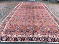 Early North West Persian Kelleh carpet 613x214cm (10 of 11) Early North West Persian Kelleh carpet 613x214cm (10 of 11)