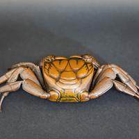 Meiji Bronze Articulated Crab (6 of 13) Meiji Bronze Articulated Crab (6 of 13)
