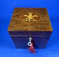 Late Victorian Burr Yew Single Tea Caddy (3 of 32) Late Victorian Burr Yew Single Tea Caddy (3 of 32)