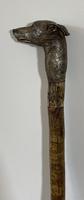 Late Victorian Birch Greyhound Walking Stick (8 of 21) Late Victorian Birch Greyhound Walking Stick (8 of 21)