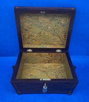 William IV Rosewood Box with Boxwood Inlay (6 of 10) William IV Rosewood Box with Boxwood Inlay (6 of 10)