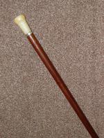 Antique Faux Ivory Pommel Topped Rosewood Walking Stick / Cane (2 of 13) Antique Faux Ivory Pommel Topped Rosewood Walking Stick / Cane (2 of 13)