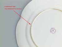 Fine & Rare Colebrookdale Porcelain John Rose Cabinet Plate 19th Century (5 of 5) Fine & Rare Colebrookdale Porcelain John Rose Cabinet Plate 19th Century (5 of 5)