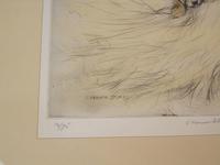 Hunting Dogs Field Spaniles G Vernon Stokes Signed Limited Edition Grouse (5 of 6) Hunting Dogs Field Spaniles G Vernon Stokes Signed Limited Edition Grouse (5 of 6)