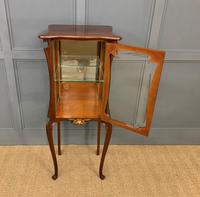 Art Nouveau Mahogany Vitrine (7 of 15) Art Nouveau Mahogany Vitrine (7 of 15)