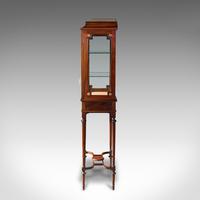 Antique Raised Pier Cabinet, English, Mahogany, Display Case, Edwardian, C.1910 (5 of 12) Antique Raised Pier Cabinet, English, Mahogany, Display Case, Edwardian, C.1910 (5 of 12)
