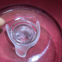 Lalique "Sparrow" Ring Dish in Clear & Frosted Glass with Original Label (7 of 9) Lalique "Sparrow" Ring Dish in Clear & Frosted Glass with Original Label (7 of 9)