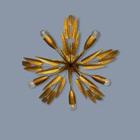 Spanish Ferro Art Gilt Palm Ceiling Light (8 of 11) Spanish Ferro Art Gilt Palm Ceiling Light (8 of 11)