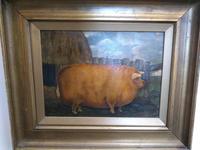 Naive Pig Portrait (4 of 4) Naive Pig Portrait (4 of 4)