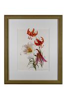 Romantic and Wonderful 'Mixed Lilies' Chromolithograph 1903 (2 of 4) Romantic and Wonderful 'Mixed Lilies' Chromolithograph 1903 (2 of 4)