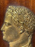 Pair of Interesting 19th Century Gilded Bronze Alexander The Great & Napoleon Cameo Plaques (14 of 29) Pair of Interesting 19th Century Gilded Bronze Alexander The Great & Napoleon Cameo Plaques (14 of 29)