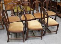 1900's Mahogany Set 8 Hoop Dining chairs with Pop out Seats in Gold (2 of 3) 1900's Mahogany Set 8 Hoop Dining chairs with Pop out Seats in Gold (2 of 3)