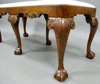 Late 19th Century George II Style Stool (4 of 6) Late 19th Century George II Style Stool (4 of 6)