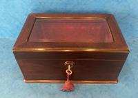 Victorian French Fruitwood Display Box (9 of 9) Victorian French Fruitwood Display Box (9 of 9)