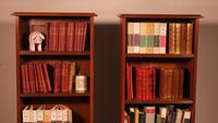 Pair of Open Bookcase - 19th Century in Mahogany (2 of 9) Pair of Open Bookcase - 19th Century in Mahogany (2 of 9)