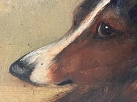 Pair of Scottish 19th Century Oil Paintings Rough Collie Dog Portraits After George Washington Brownlow (31 of 49) Pair of Scottish 19th Century Oil Paintings Rough Collie Dog Portraits After George Washington Brownlow (31 of 49)